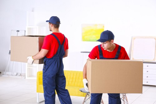 Customer complaint review for a man with van moving service