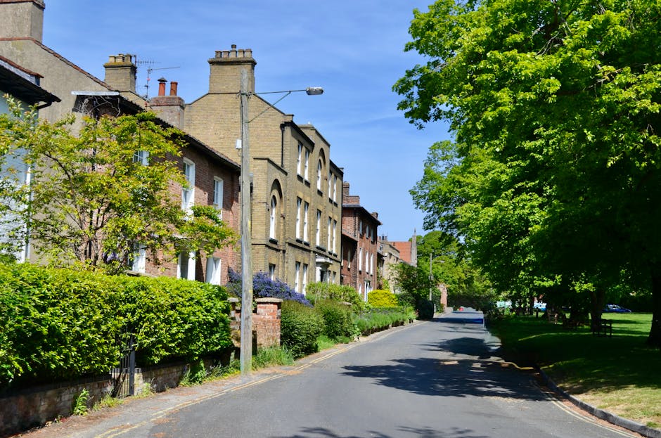 A narrow residential street with brick and white-painted terraced houses on both sides, some with small front gardens containing potted plants and decorative shrubs. In the foreground, a white van bel